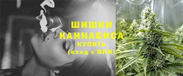 стаф Горнозаводск