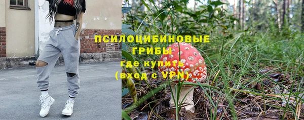 кокс Гусь-Хрустальный