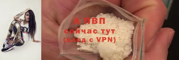 стаф Горнозаводск