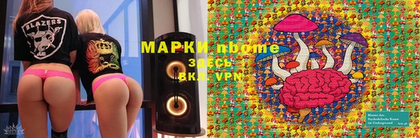 гидропоника Горняк