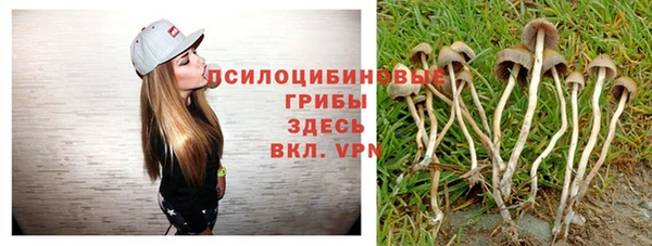 стаф Горнозаводск