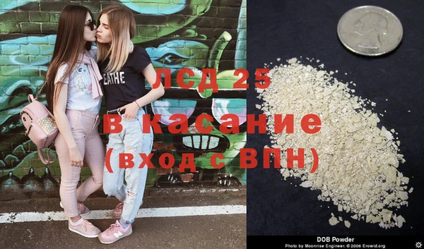 гидропоника Горняк