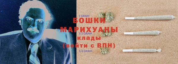 гидропоника Горняк