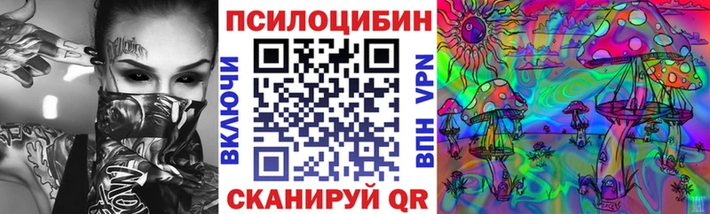 Псилоцибиновые грибы Psilocybe  блэк спрут ССЫЛКА  Данилов 